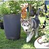 Besuch Tazanna und Pan 113